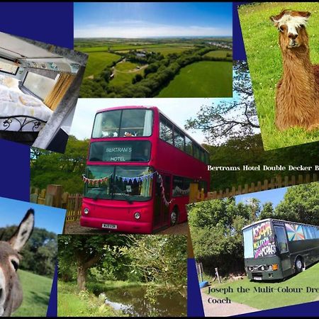 Fosfelle Glamping Hotel Hartland Exterior foto